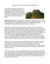 Belize Real Estate - Cheapest Caribbean Real Estate