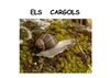 Els cargols
