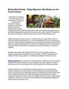 Belize Real Estate - Baby Boomers See Belize as the Final Frontier