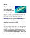 Belize Properties: A How To Guide in Choosing the Best Home Here in Paradise