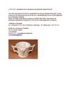 "1810-2010 : bicentenaire de la manufacture de porcelaine Jacques Fourmy"