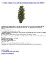 3' Indoor Outdoor Pre-Lit Holly Berry Christmas Topiary Stake Tree #H80710