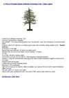 4' Pre-Lit Frosted Alpine Artificial Christmas Tree - Clear Lights
