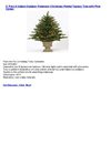 4' Pre-Lit IndoorOutdoor Freemont Christmas Potted Topiary Tree with Pine Cones