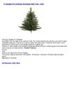5' Camdon Fir Artificial Christmas Wall Tree - Unlit