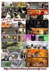 Calendrier 2011 *L'Ere des Chiens*