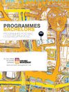Bachelors Euromed Management