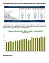 Reporte Económico Cifras Oportunas de Octubre de 2010