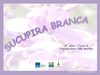 SUCUPIRA BRANCA