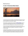 Belize Real Estate: A Look at Sanctuary Belize homes