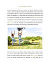 All about fitness resorts