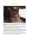 Care For Florida Zoos