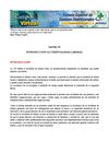 accidente
