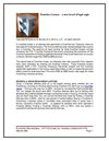 Franchise Lawyer – a new breed of legal eagle