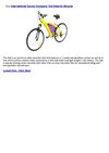 International Surrey Company Volt Electric Bicycle