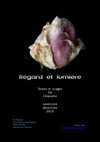 Regard et lumière, novemvre/décembre 2010