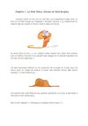 Chapitre 1 saintex