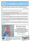 L'Actualité du Patrimoine - 8 - décembre 2010