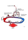 Doc1