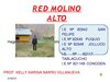RED MOLINO ALTO