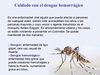 'Contra el dengue hemorrágico' - Dana Transejes