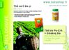 Thé Vert Bio - Minceur