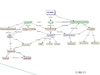 Mapa conceptual el agua, Derecho Humano Fundamental