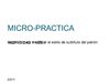 GUIA MICROPRACTICA