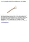 Cheap Price Electronics - Monster Standard THX-Certified Speaker Cable (100 Feet)