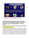La Polyconsommation