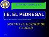 Conozca La Institución Educativa El Pedregal