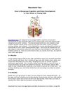 Educational Toys: How to Encourage Cognitive and Motor Development in Your Infant or Young Child