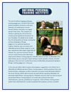 How to Choose Affordable Personal Fitness Training Programs