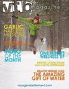 VTB Magazine - February 2011