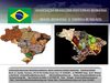 ABIB Inventário Residual Brasil - WoodPellets - Briquete - Energia