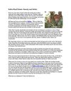 Belize Real Estate: Beauty and Belize 