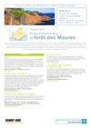  Itinéraire moto n°6 : La Corniche d’or et la forêt des Maures: la mer à la montagne