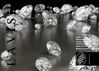 LAVISH Skymall Magazine January 2011 Issue #6