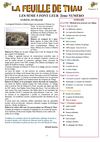 La feuille de Thau N°2