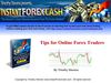 Tips for Online Forex Traders