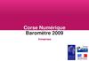 Baromètre numérique 2009 - Rapport Entreprises