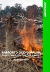 OLIO DI PALMA RAPPORTO GREENPEACE