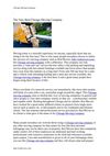 The Very Best Chicago Moving Company