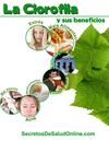 La Clorofila y sus beneficios