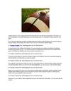 Fantasy Football Tips - What Beginners Like You Should Know
