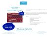 Musical Calvillo - ofertas y novedades MARZO 2011