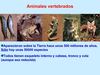 Tema III (Los animales 2)