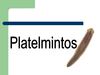 Platelmintos