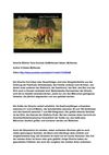 Hirsche Wildnis Tiere Animals SelMcKenzie Selzer-.McKenzie
