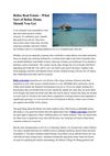 Belize Real Estate - What Sort of Belize Home Should You Get